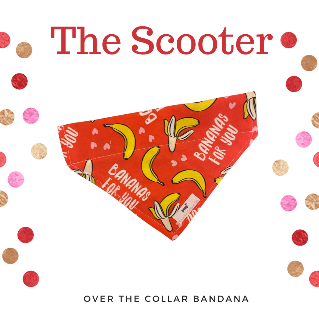 The Scooter Over the Collar Bandana