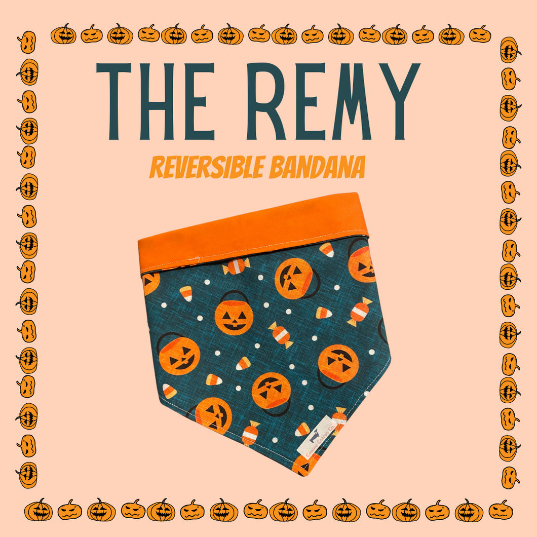 The Remy Reversible Bandana