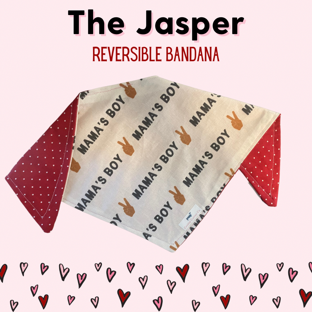 The Jasper Reversible Bandana